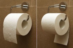 toilet paper 3
